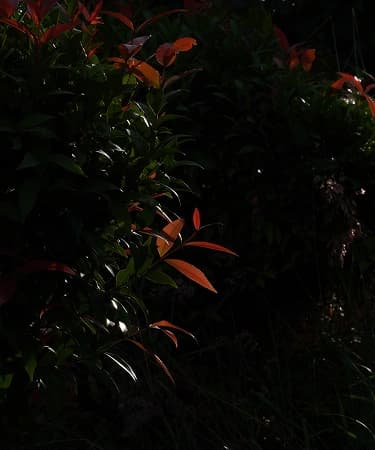 Contact Us Background